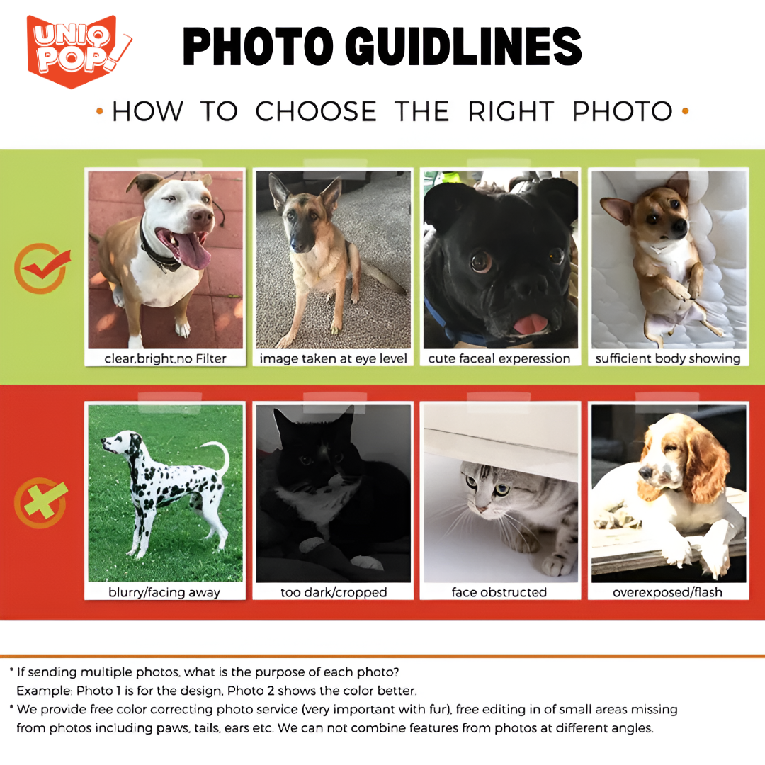 Custom Embroidered Cat Sweatshirt - Personalized Name & Cat Design