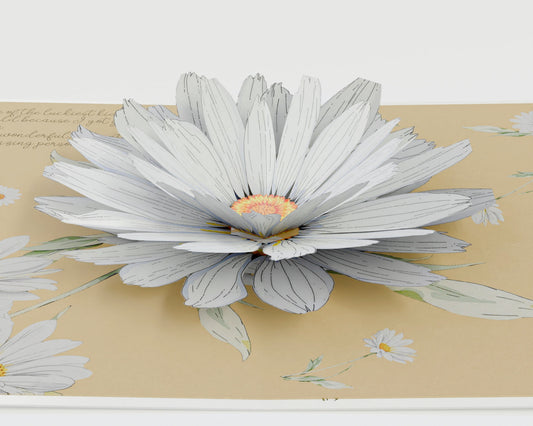 Daisy Flower Bloom Pop-Up Card